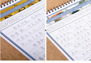 成人练字椅子图片欣赏视频,品味书法之美，尽享舒适书写时光