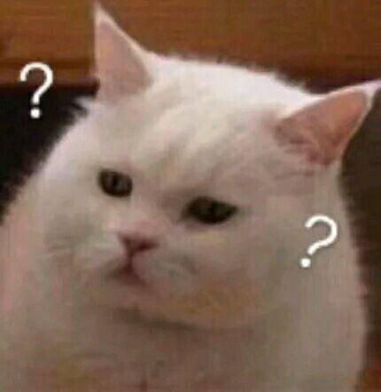 动物变成人可爱视频下载,可爱视频下载集锦