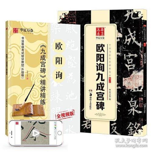 练字帖推荐成人讲解视频