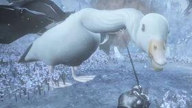 奥特曼怪兽成人衣服视频